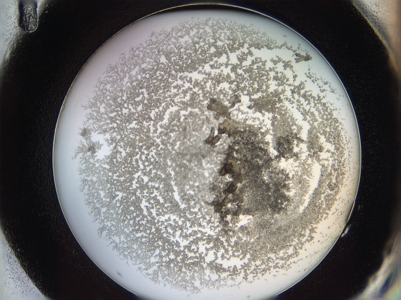 068b_G11_ImagerDefaults_3.jpg