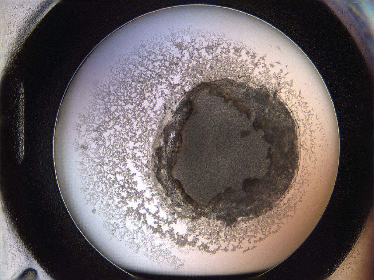068b_H11_ImagerDefaults_3.jpg