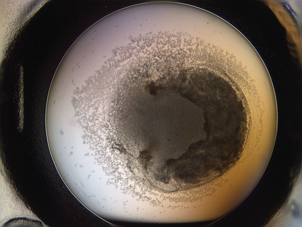 068b_H12_ImagerDefaults_3.jpg