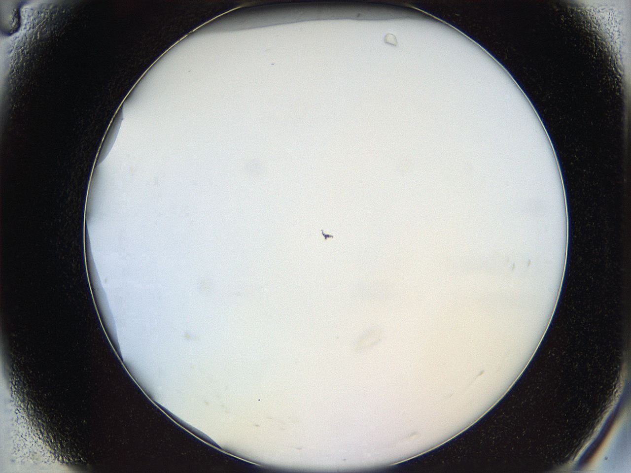 068d_A4_ImagerDefaults_0.jpg