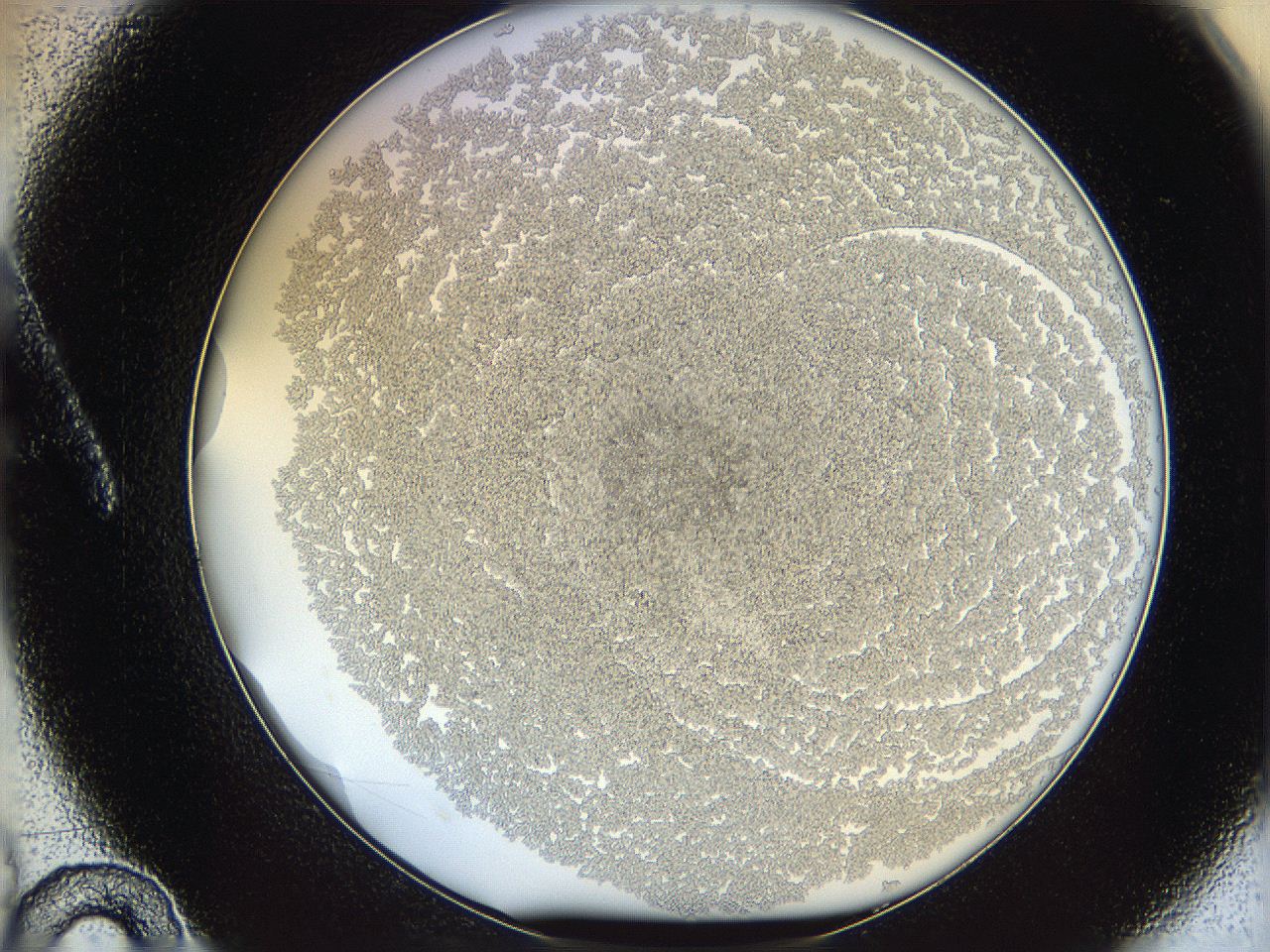 068d_A10_ImagerDefaults_3.jpg