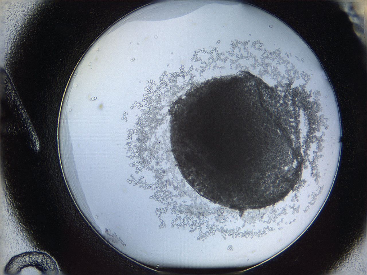 068d_A12_ImagerDefaults_5.jpg