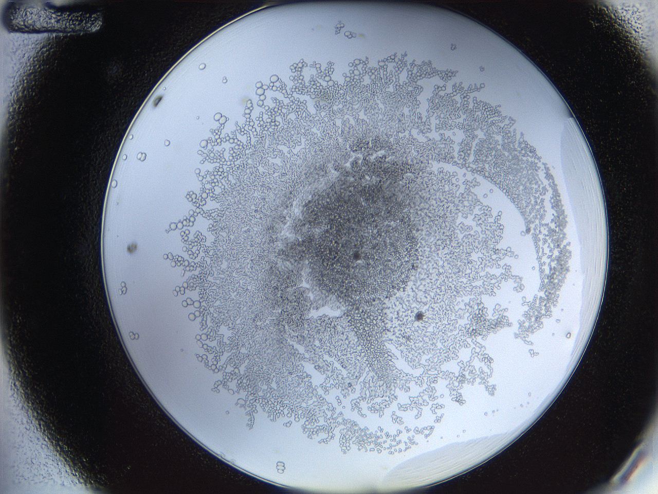 068d_A12_ImagerDefaults_3.jpg