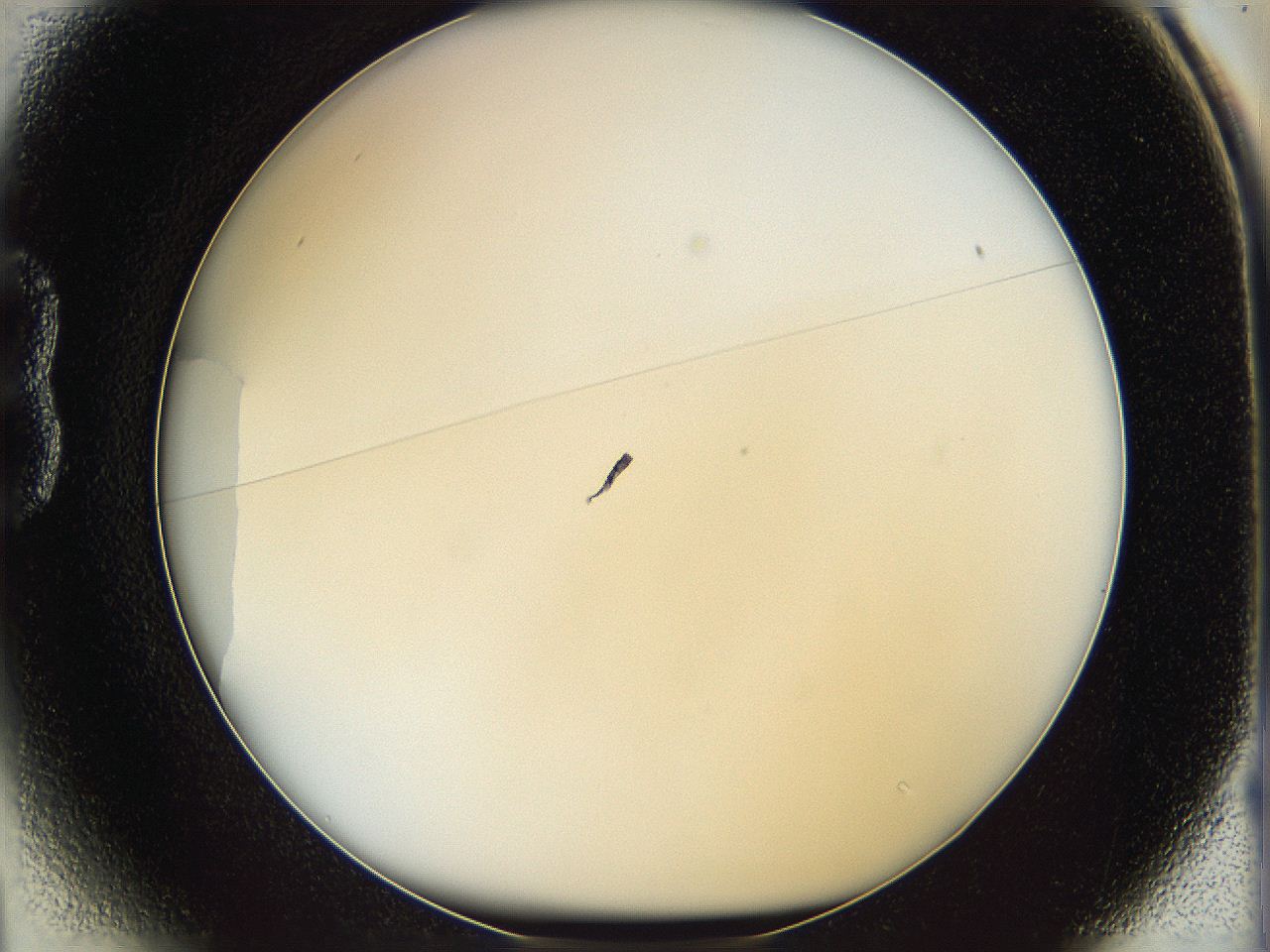 068d_B1_ImagerDefaults_0.jpg