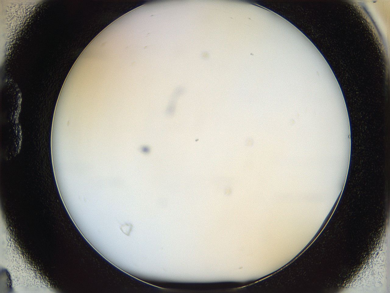 068d_B4_ImagerDefaults_0.jpg