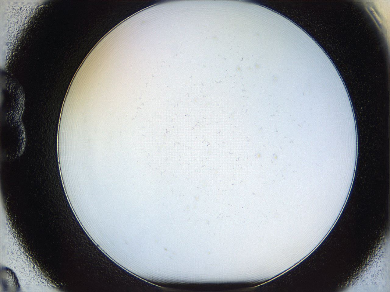 068d_B8_ImagerDefaults_0.jpg