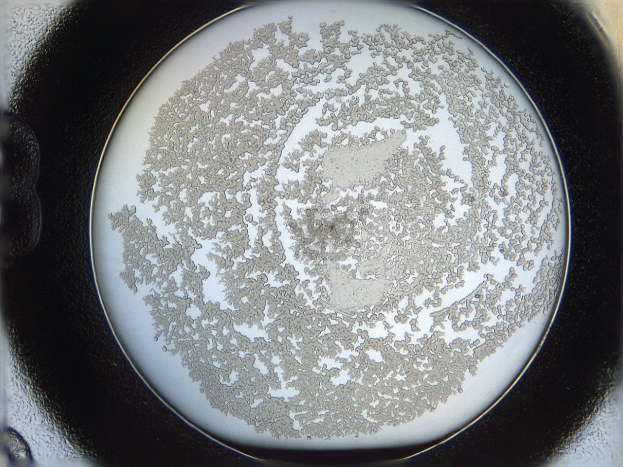 068d_B9_ImagerDefaults_3.jpg