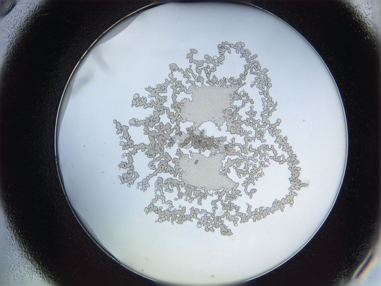 068d_B9_ImagerDefaults_6.jpg