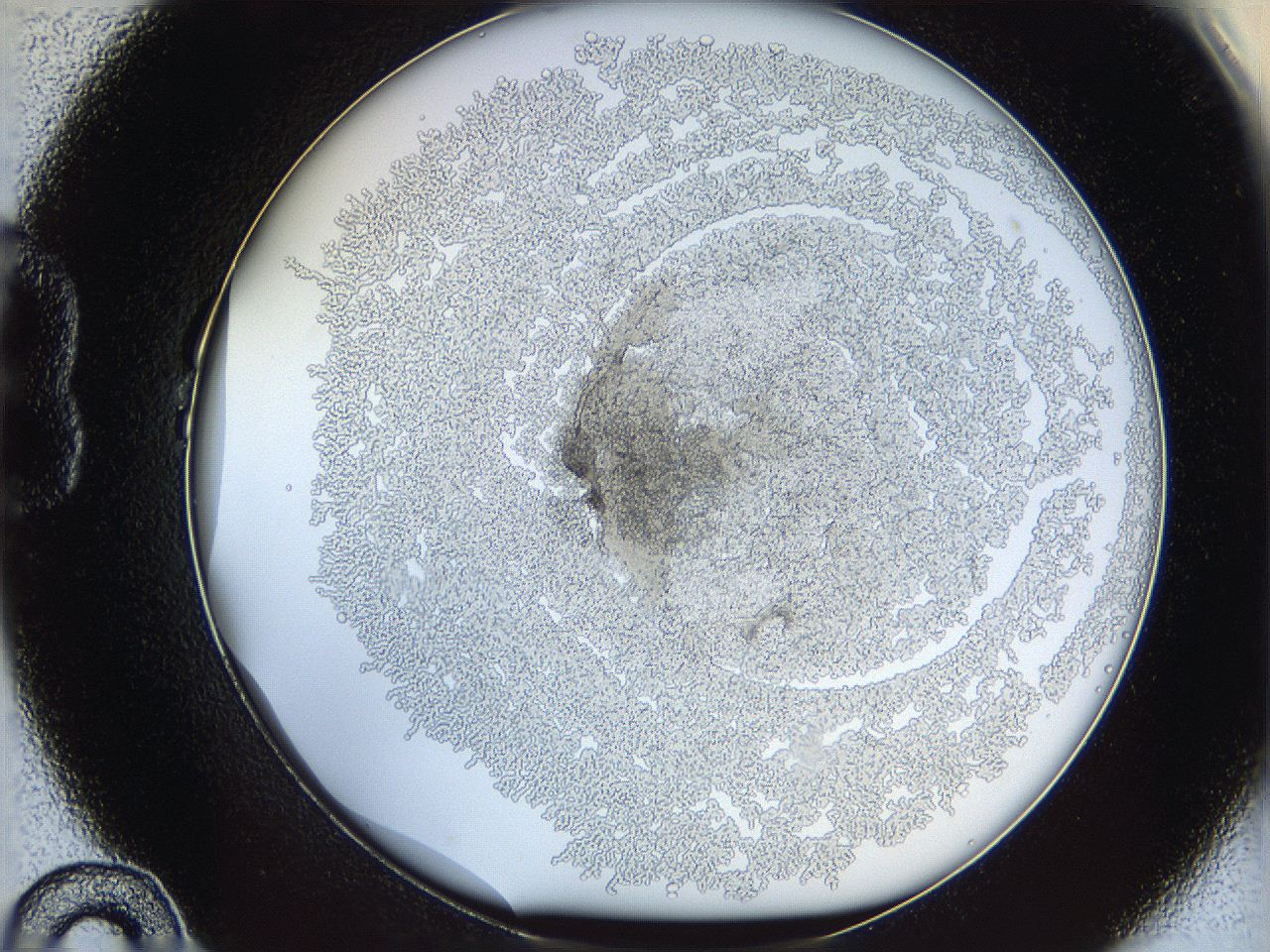 068d_B10_ImagerDefaults_3.jpg