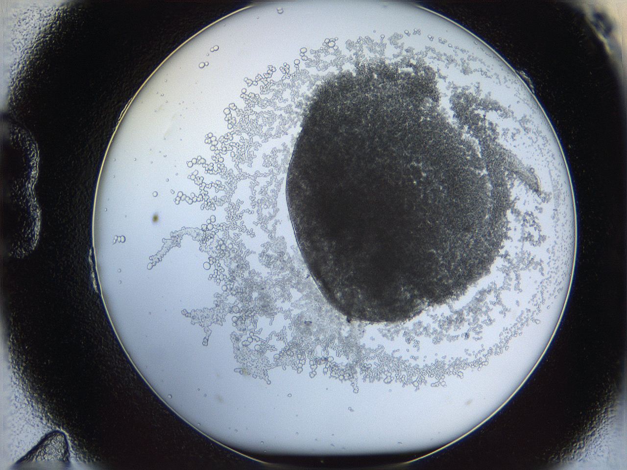 068d_B11_ImagerDefaults_3.jpg
