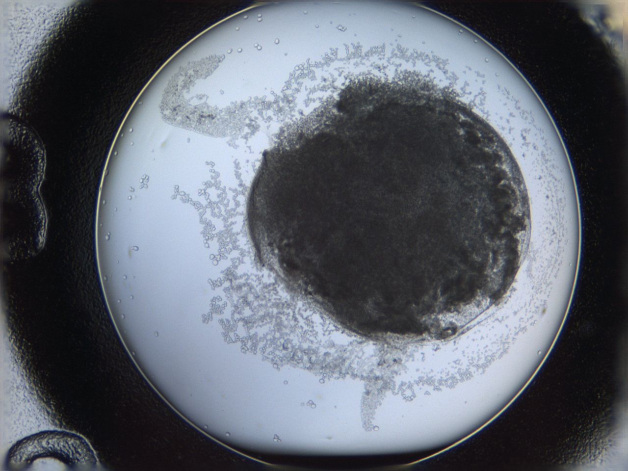 068d_B12_ImagerDefaults_3.jpg