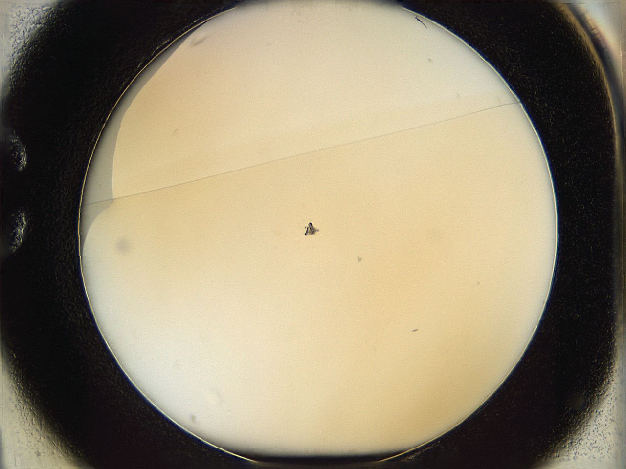 068d_C1_ImagerDefaults_0.jpg