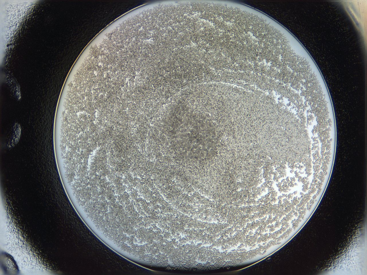 068d_C9_ImagerDefaults_3.jpg