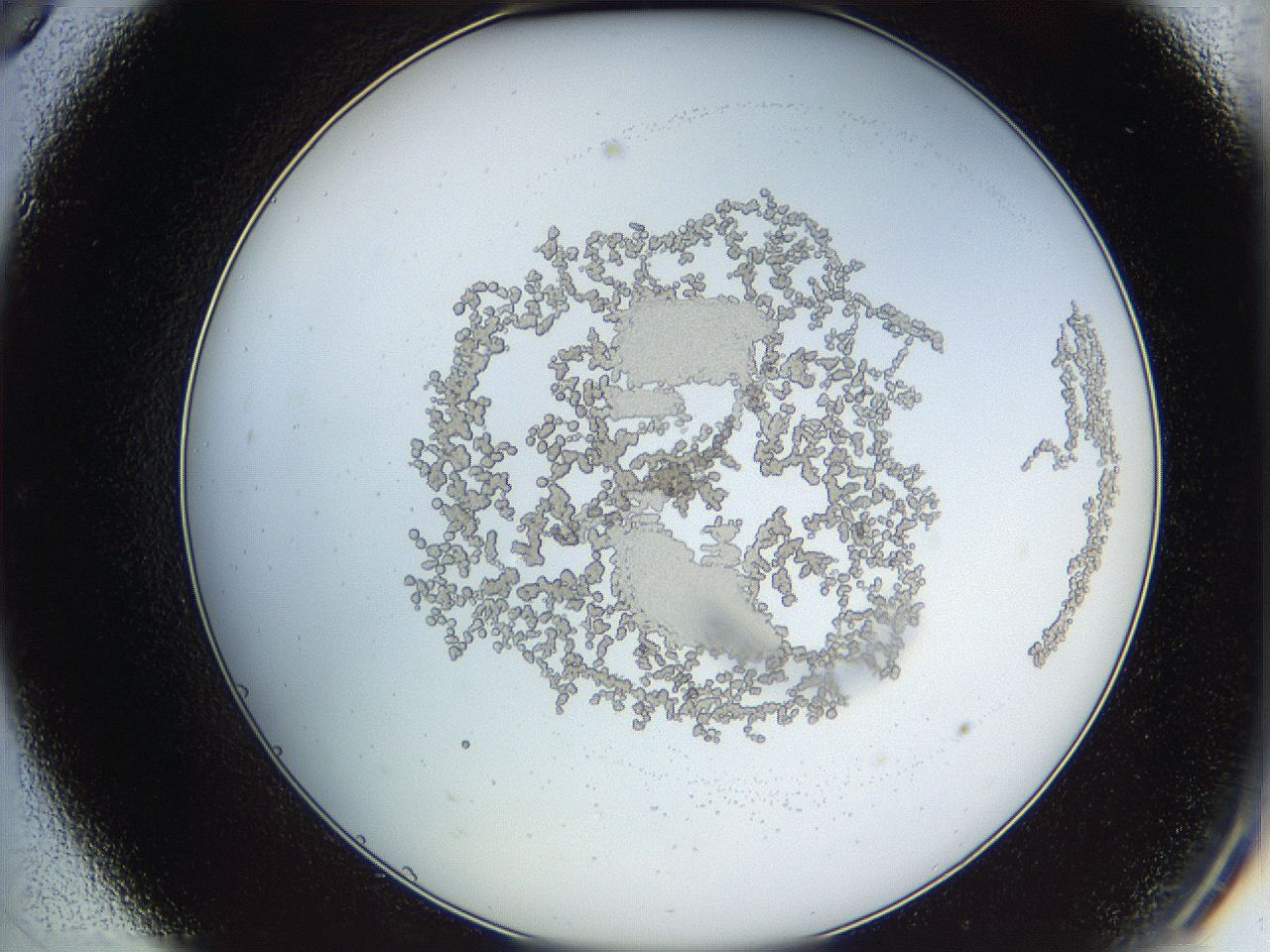 068d_C9_ImagerDefaults_6.jpg