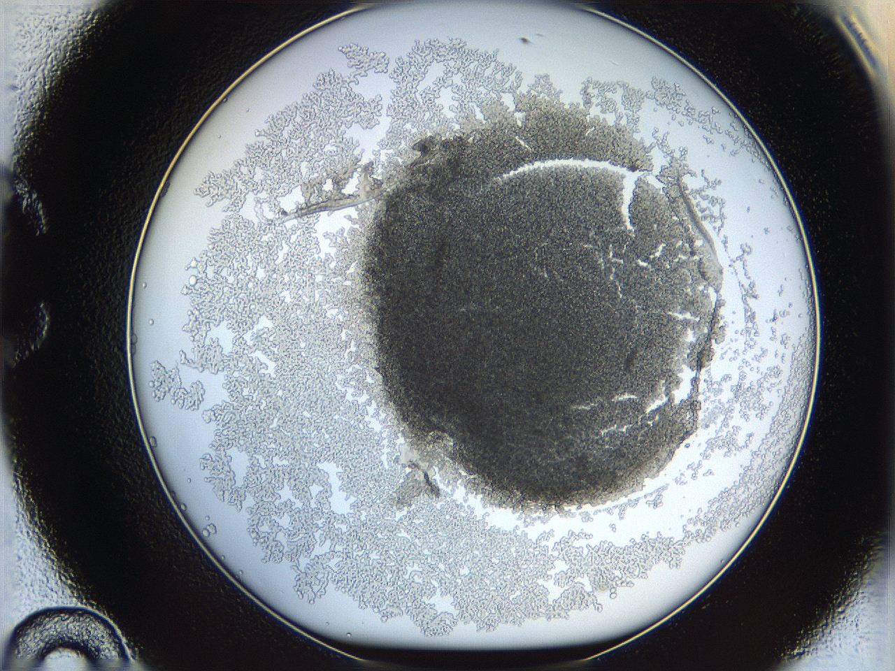 068d_C10_ImagerDefaults_3.jpg