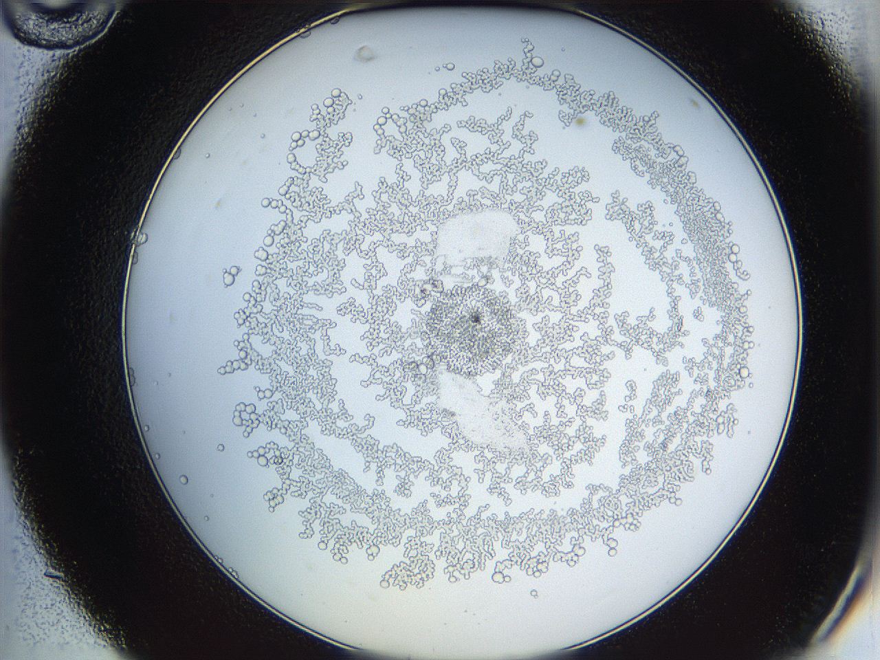 068d_C10_ImagerDefaults_5.jpg