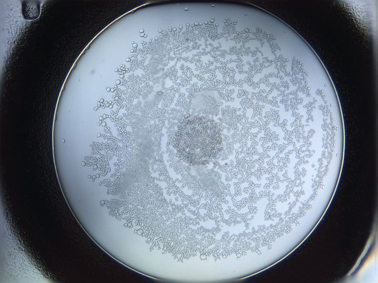 068d_C11_ImagerDefaults_5.jpg