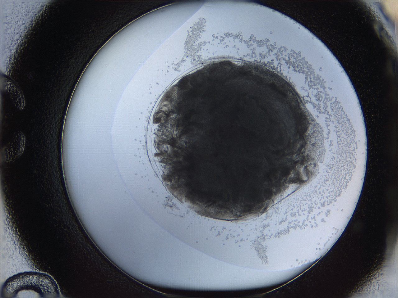 068d_C12_ImagerDefaults_3.jpg