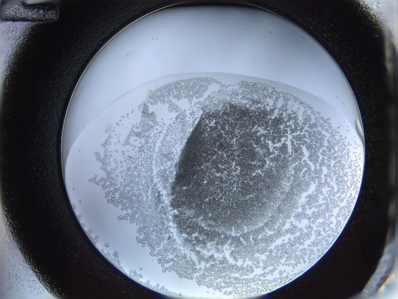 068d_C12_ImagerDefaults_5.jpg