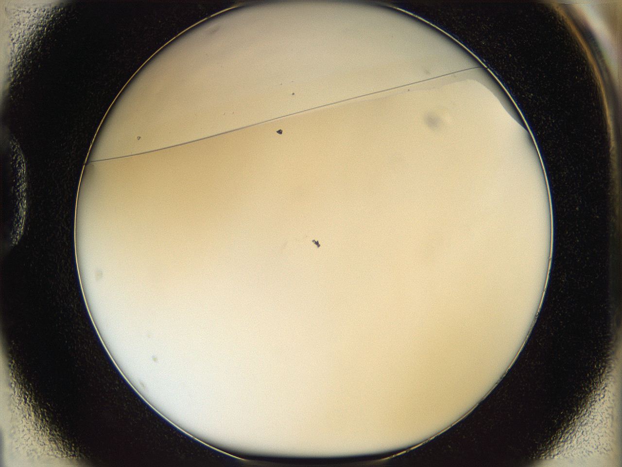 068d_D1_ImagerDefaults_0.jpg