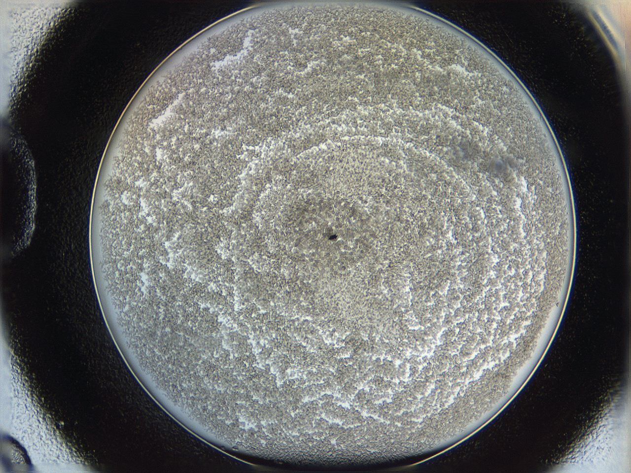 068d_D9_ImagerDefaults_3.jpg