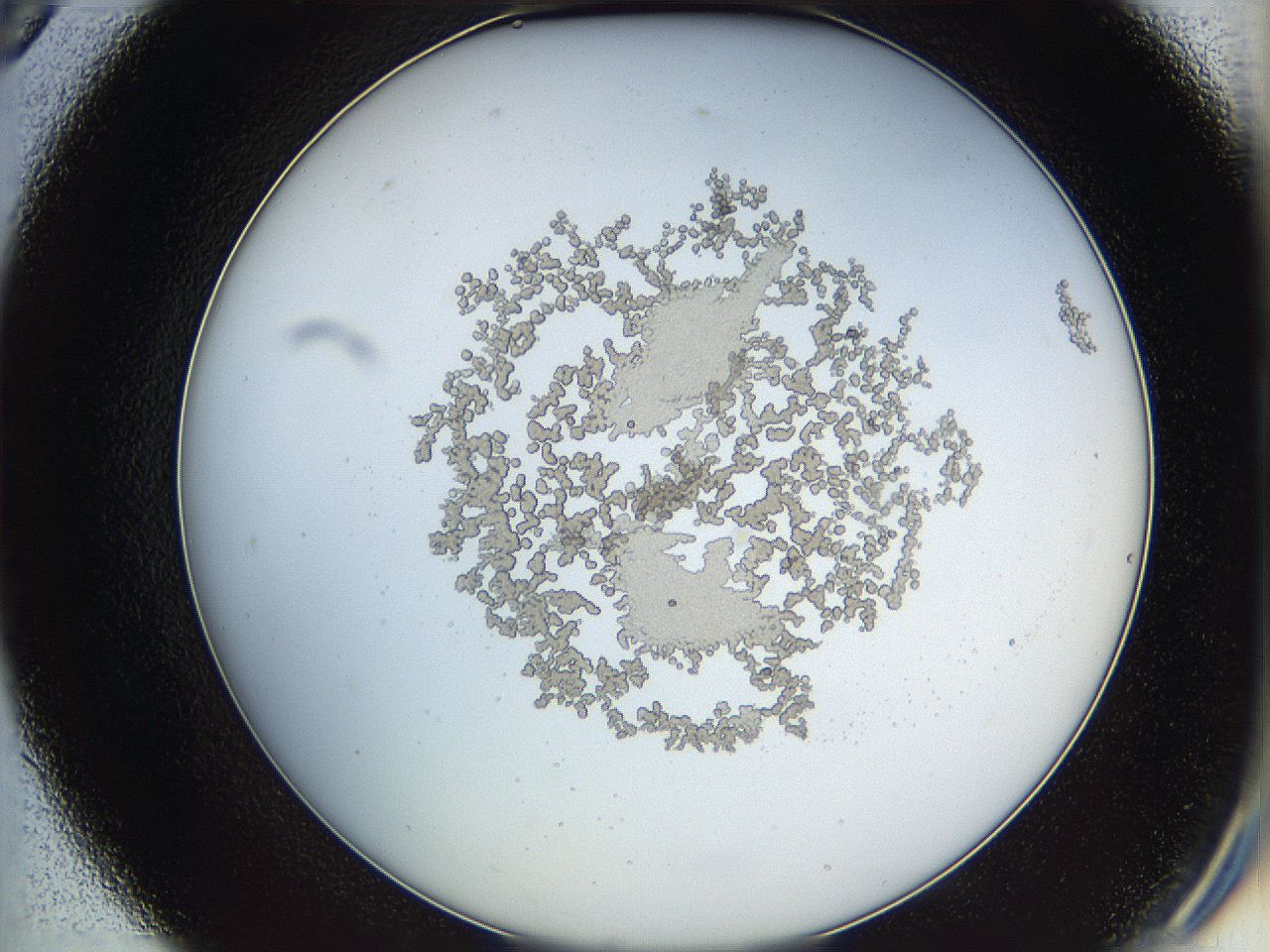 068d_D9_ImagerDefaults_6.jpg