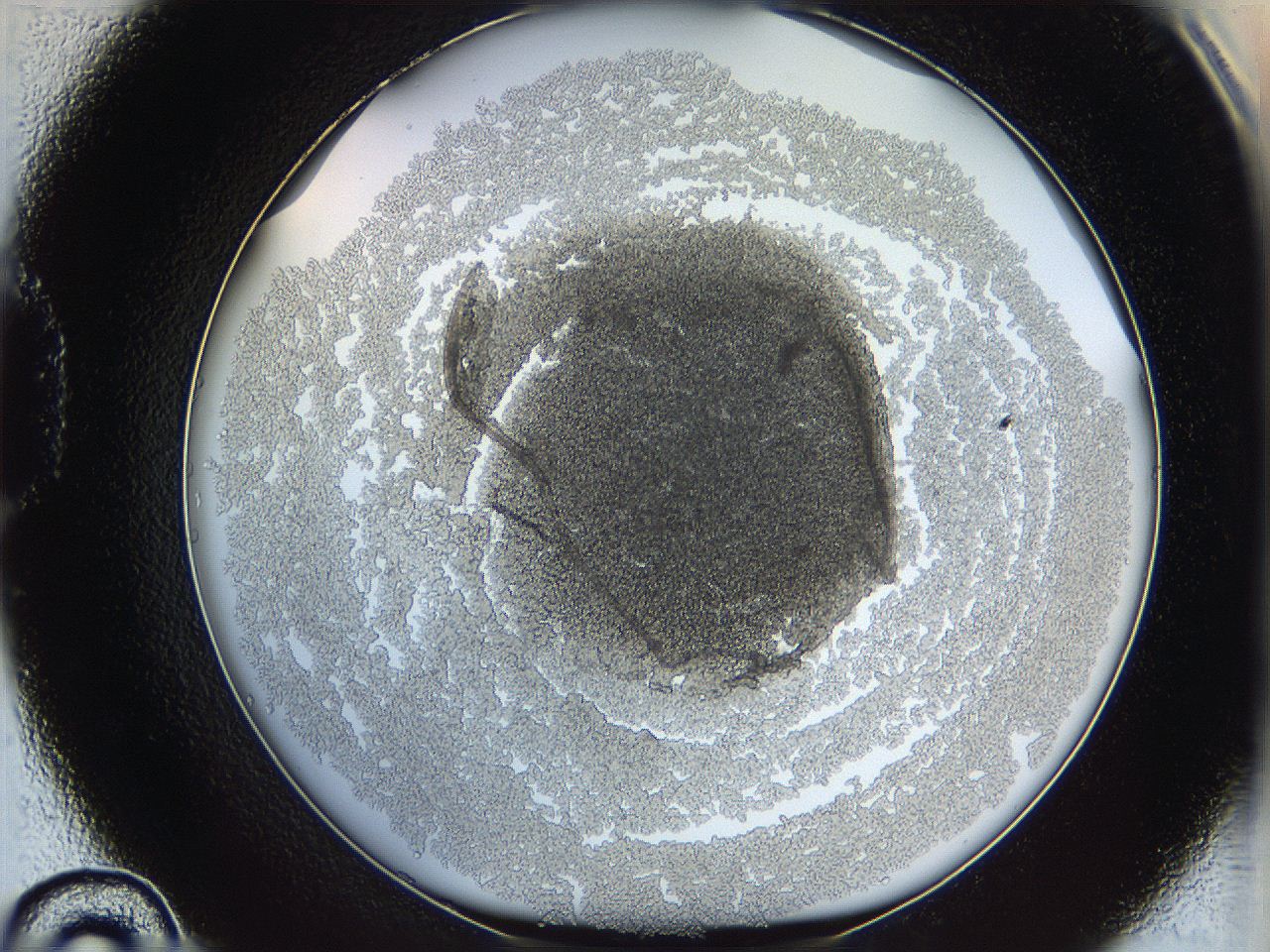 068d_D10_ImagerDefaults_3.jpg