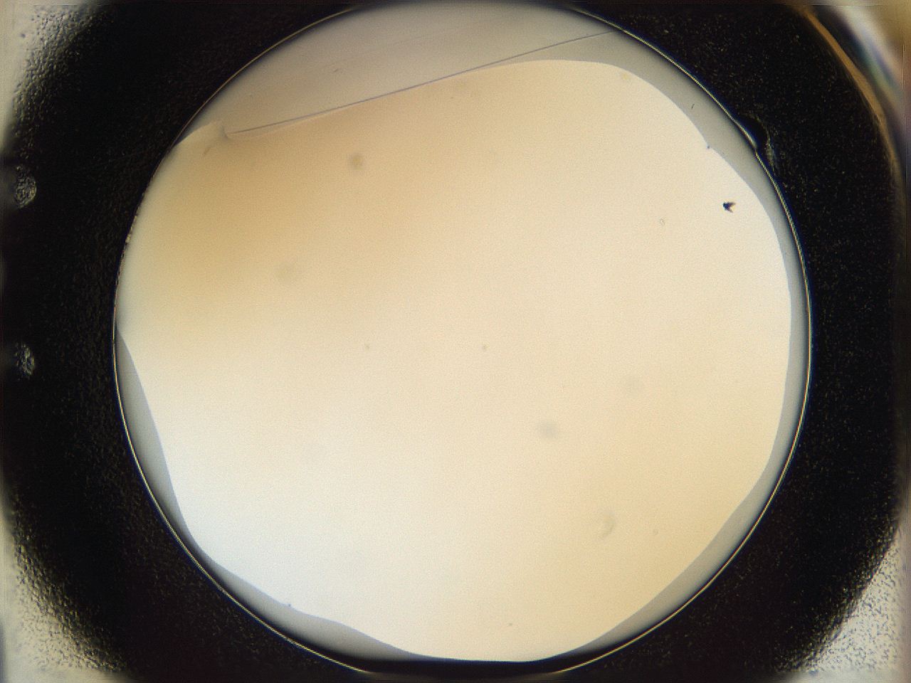 068d_E1_ImagerDefaults_0.jpg