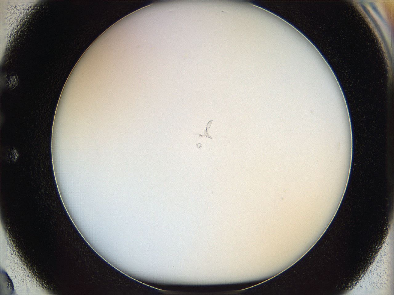 068d_E2_ImagerDefaults_0.jpg
