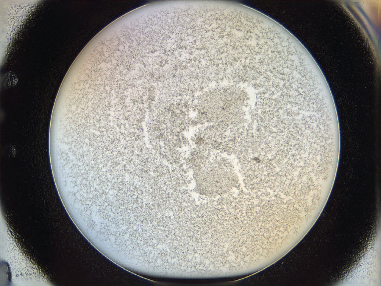 068d_E4_ImagerDefaults_6.jpg