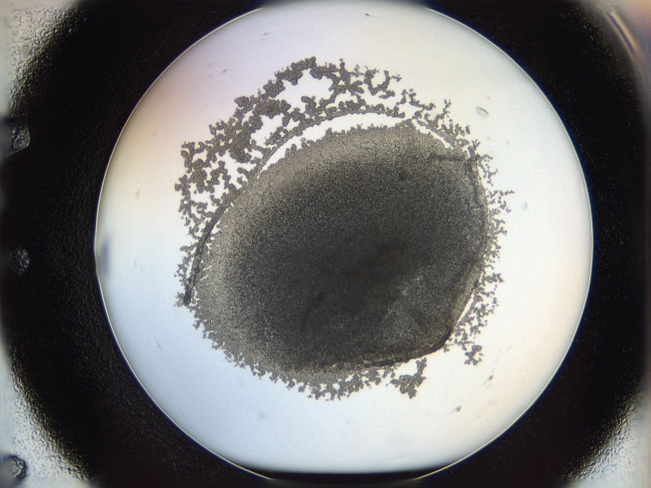 068d_E7_ImagerDefaults_6.jpg