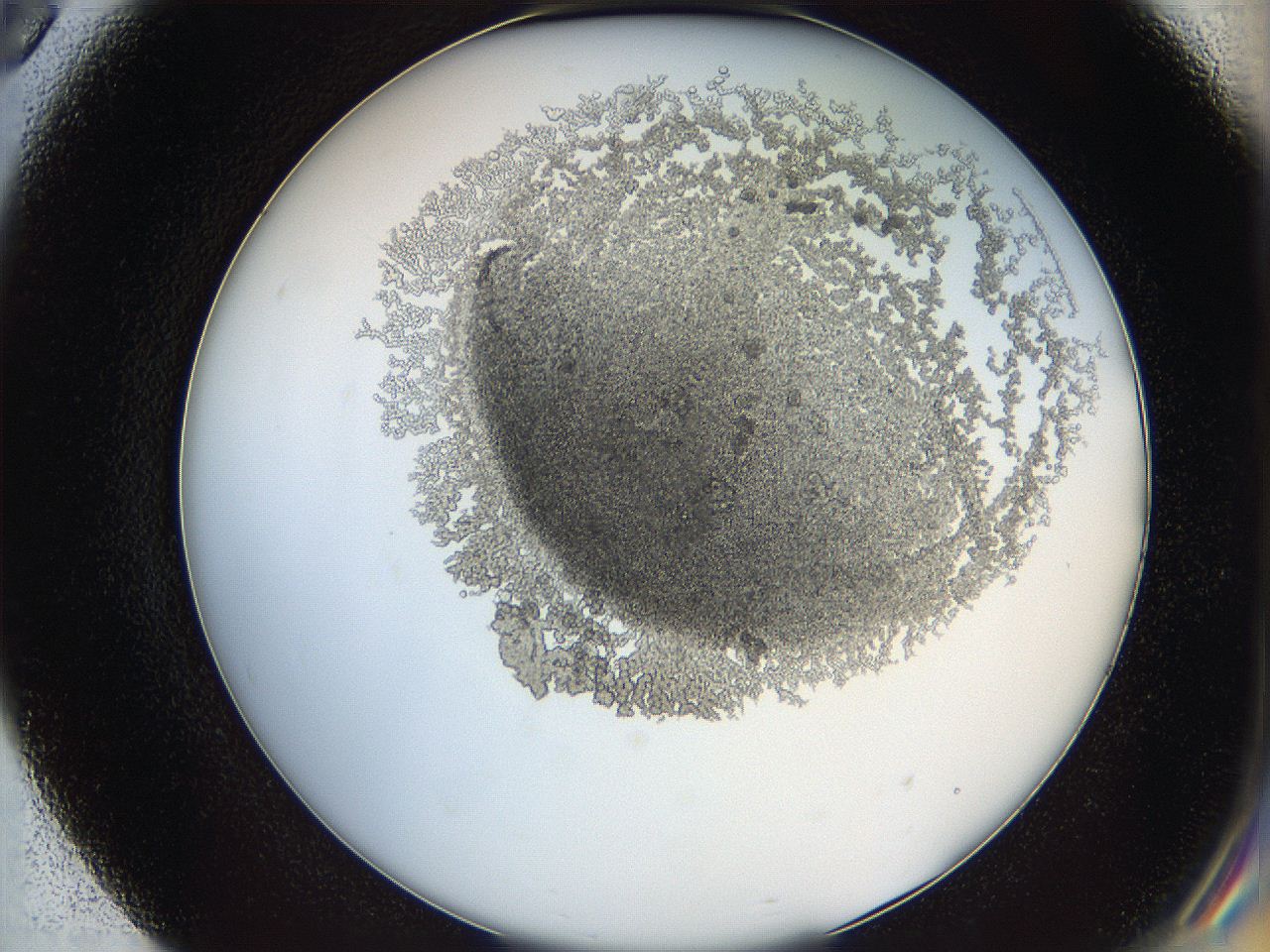 068d_E8_ImagerDefaults_3.jpg