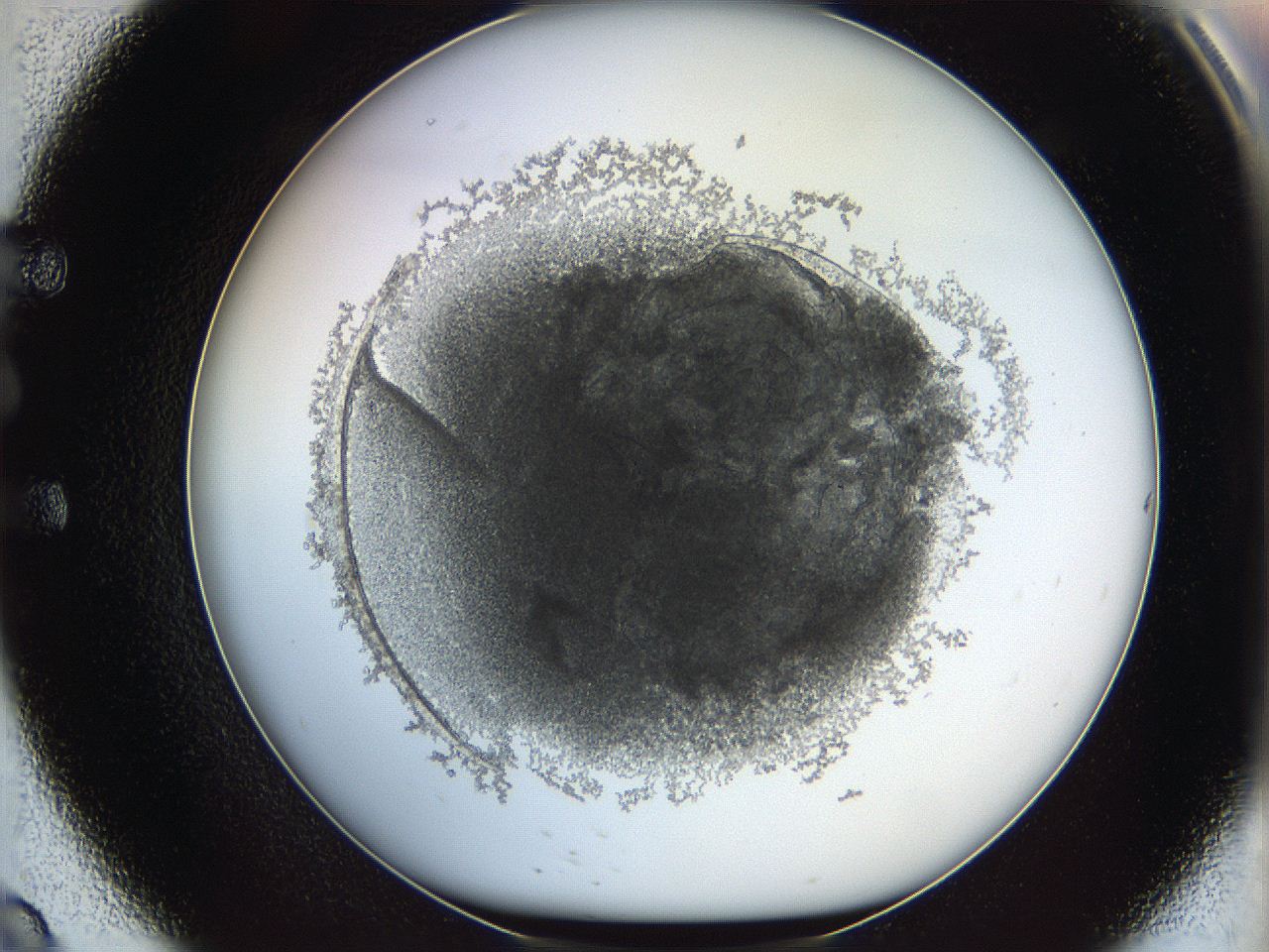 068d_E9_ImagerDefaults_3.jpg