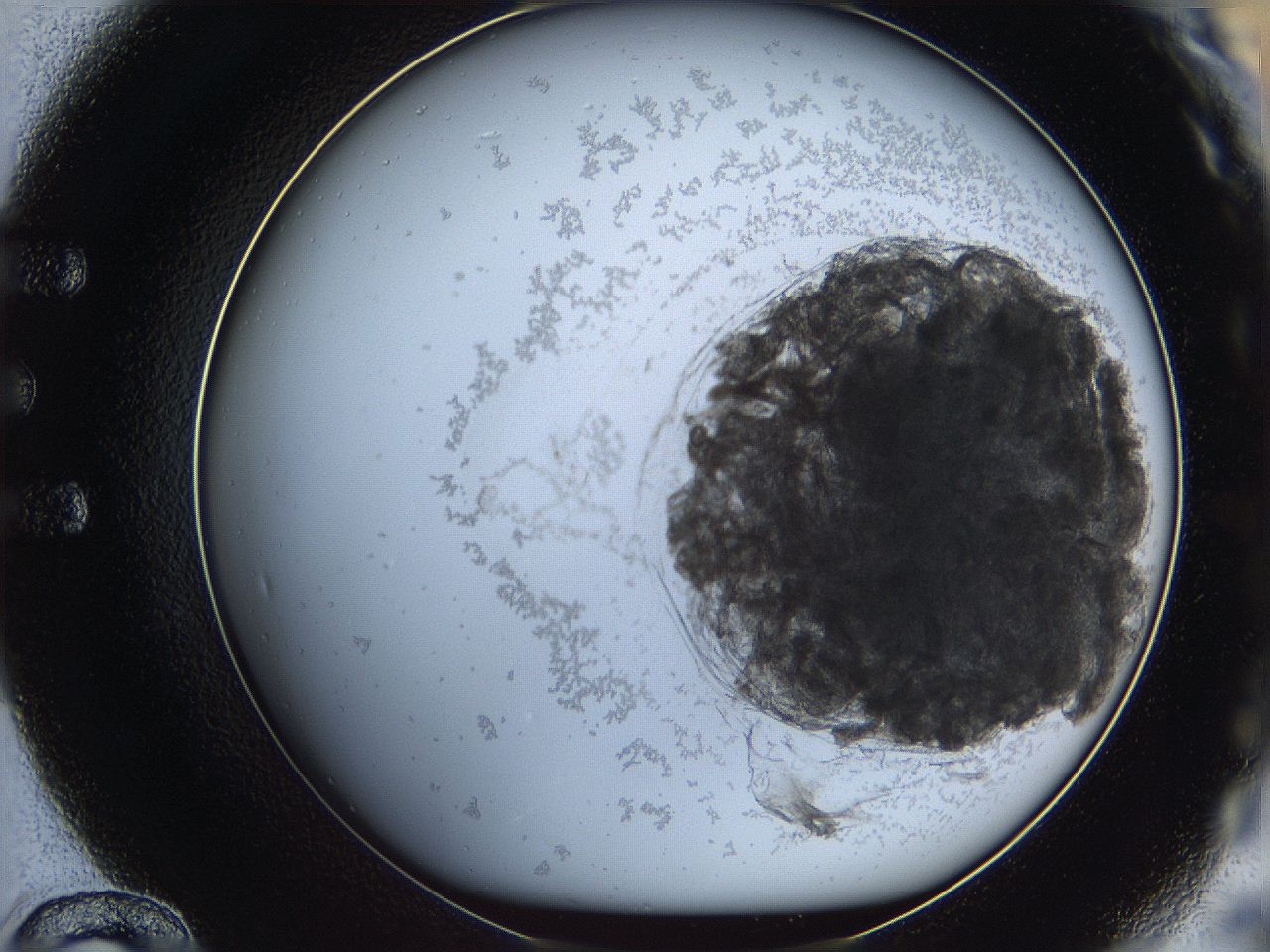 068d_E12_ImagerDefaults_3.jpg