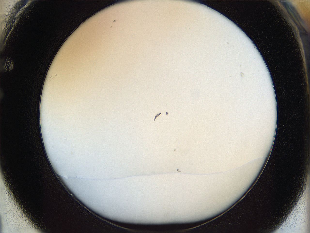 068d_F1_ImagerDefaults_0.jpg
