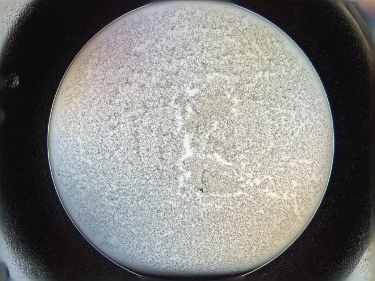 068d_F4_ImagerDefaults_6.jpg
