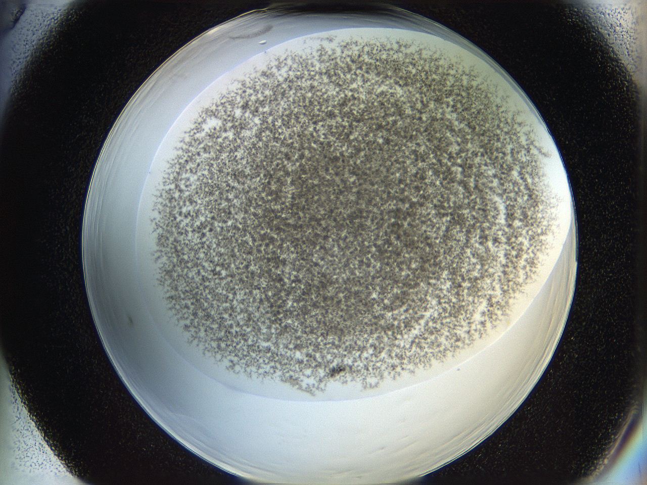 068d_F5_ImagerDefaults_3.jpg