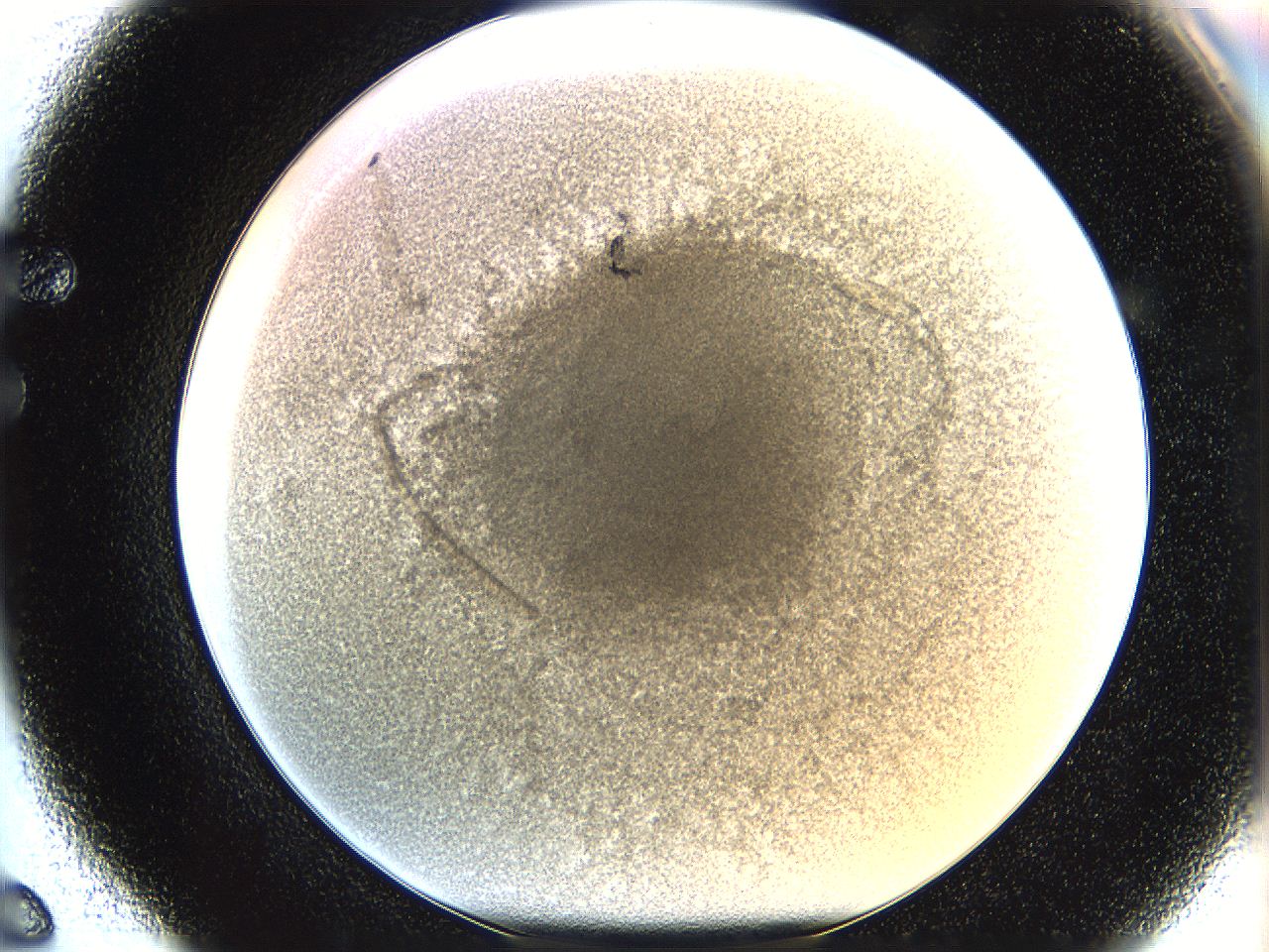 068d_F6_ImagerDefaults_4.jpg