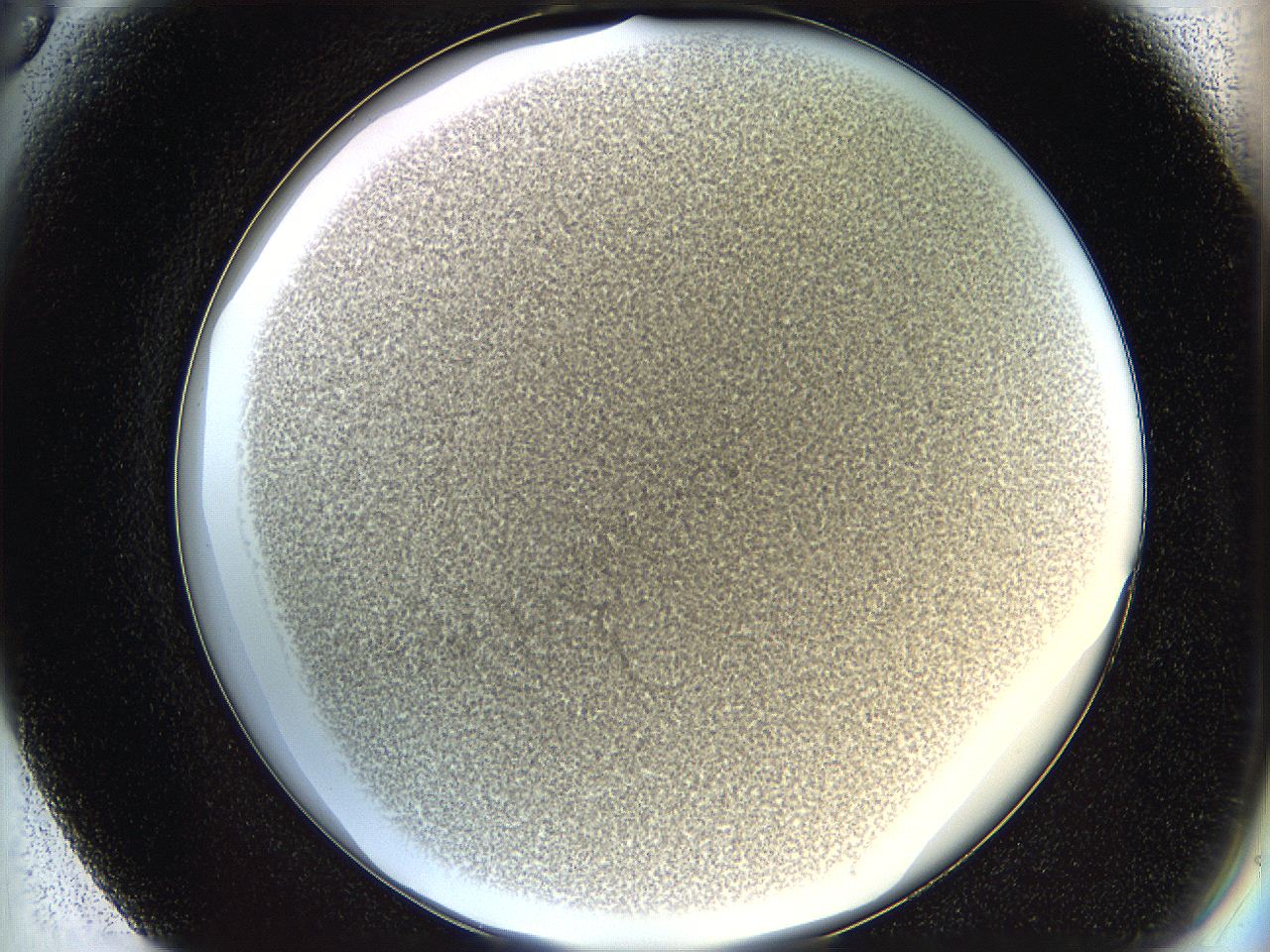 068d_F6_ImagerDefaults_3.jpg
