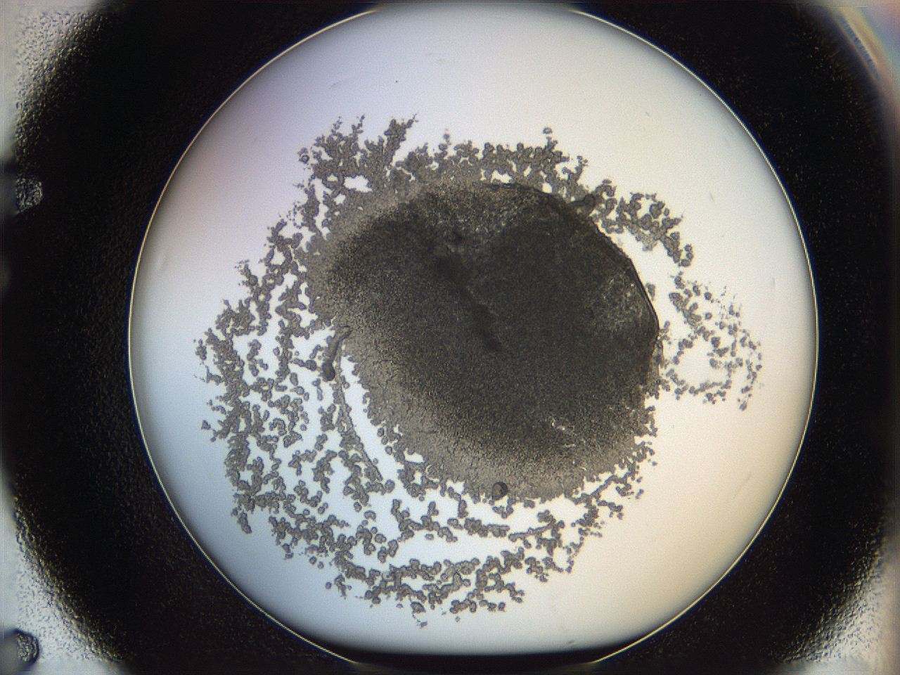 068d_F7_ImagerDefaults_6.jpg