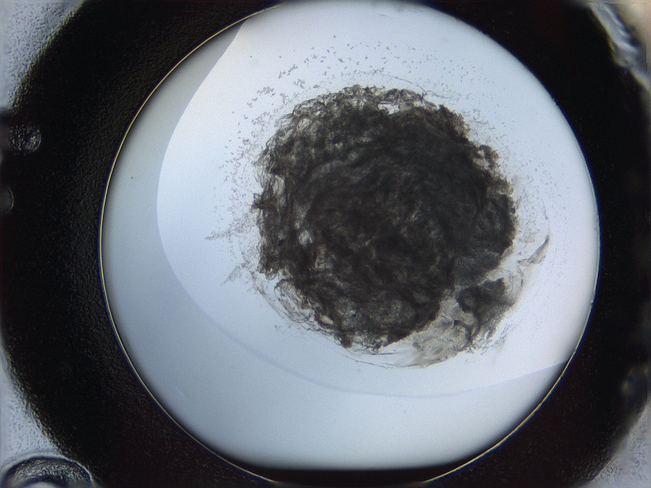 068d_F12_ImagerDefaults_3.jpg