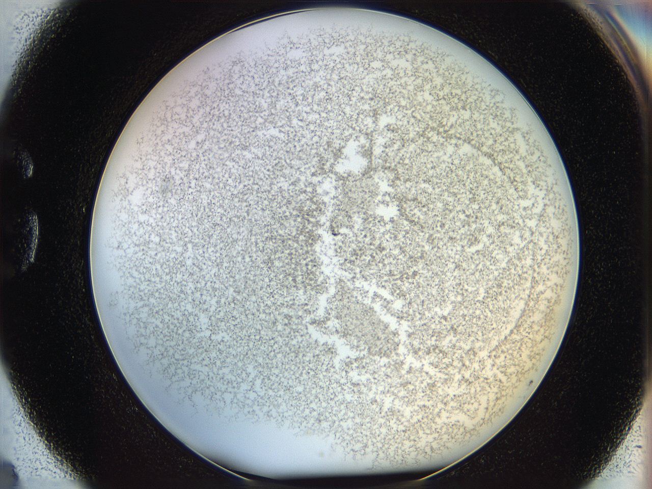 068d_G4_ImagerDefaults_6.jpg