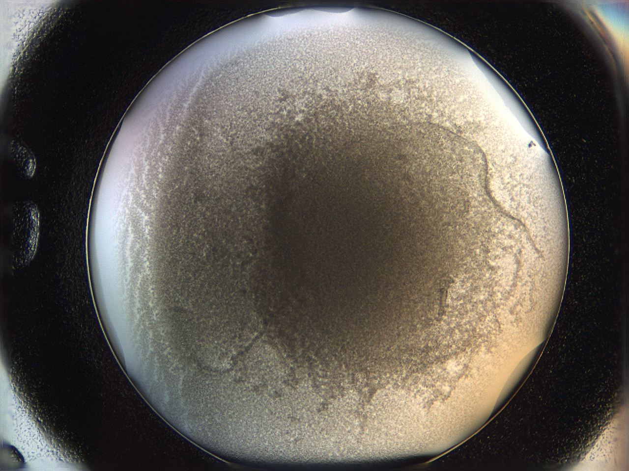 068d_G6_ImagerDefaults_4.jpg