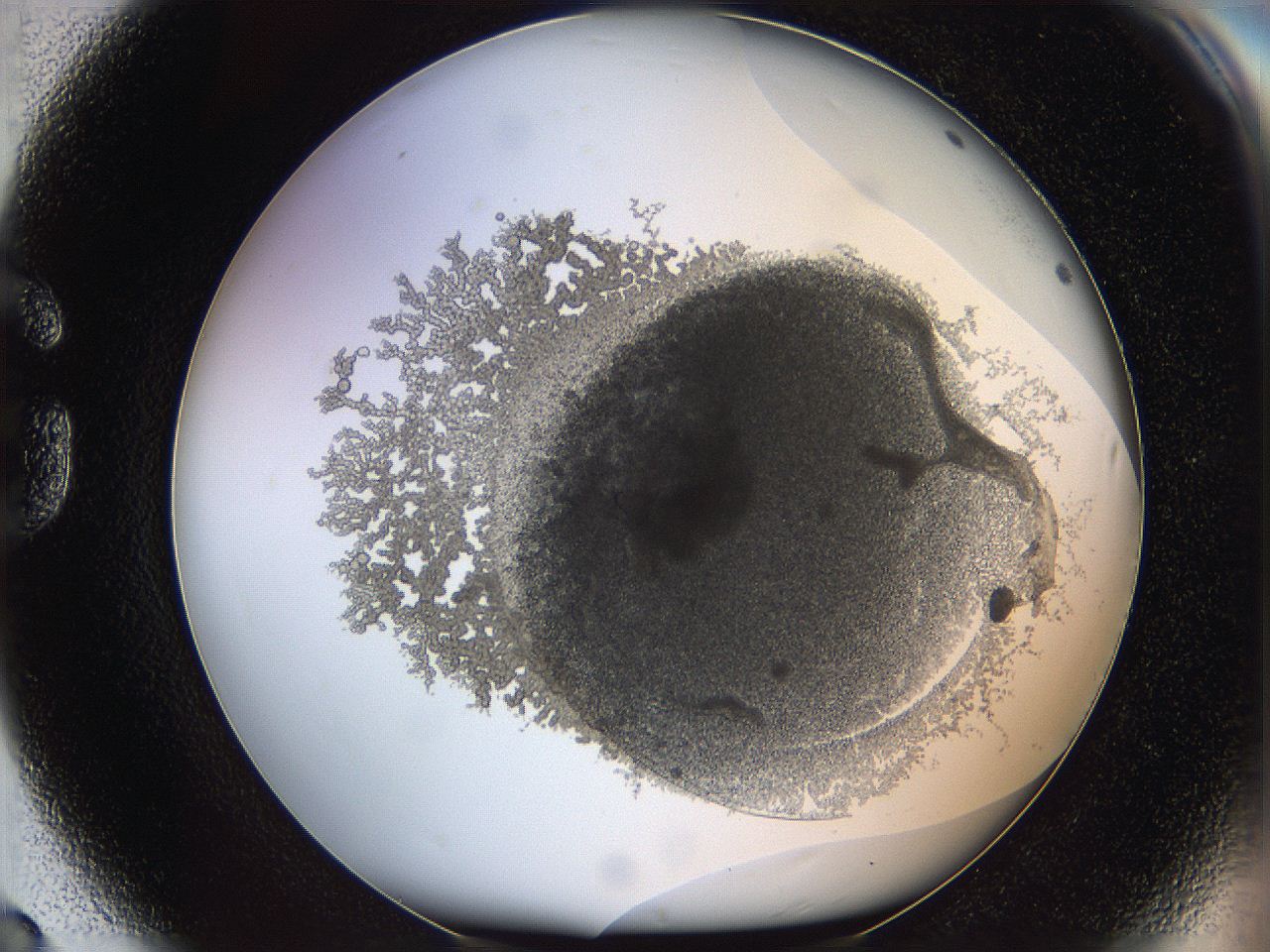 068d_G8_ImagerDefaults_6.jpg
