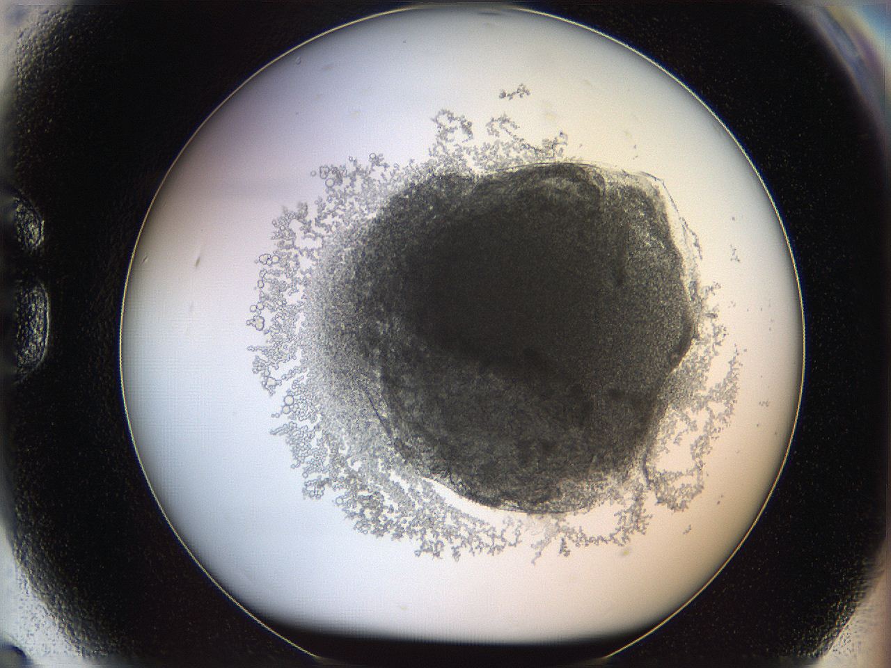 068d_G9_ImagerDefaults_3.jpg