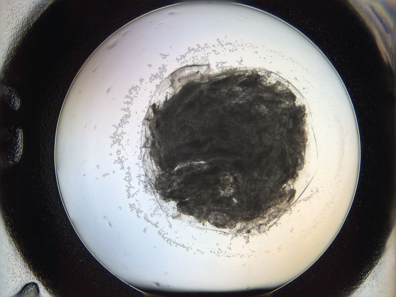 068d_G11_ImagerDefaults_3.jpg