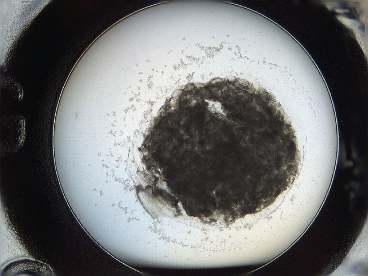 068d_G12_ImagerDefaults_3.jpg