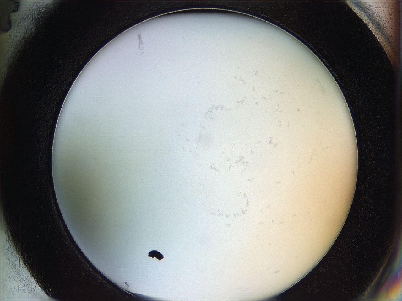 068d_H4_ImagerDefaults_0.jpg