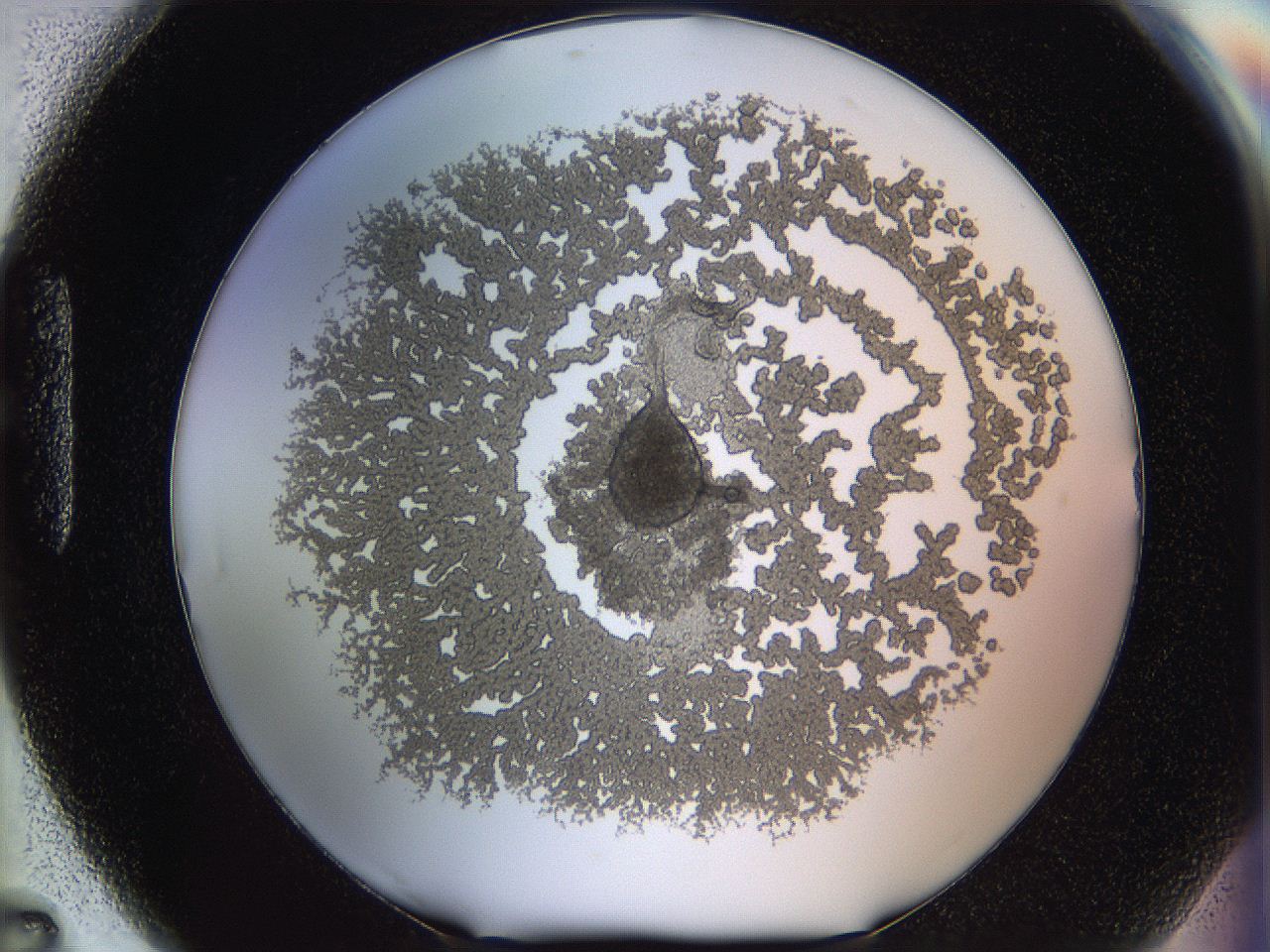 068d_H7_ImagerDefaults_6.jpg