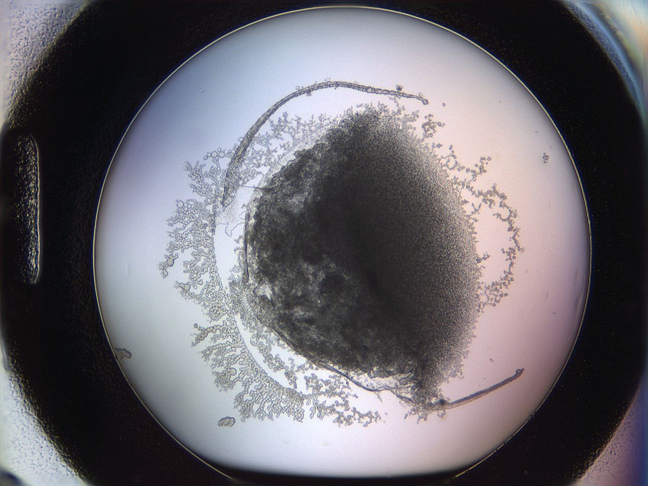 068d_H9_ImagerDefaults_3.jpg